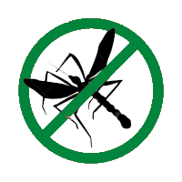svg icon
